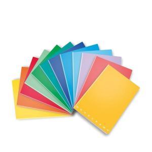 Maxi monochrome notebooks, 10-pack, a4, 5 mm grid, no margins