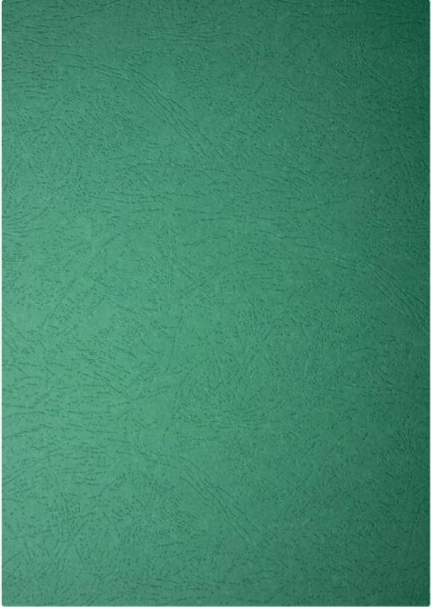 fellowes fellowes cartoncino delta per rilegare a4 21,x29,7 cm 250gr 100 fogli verde - foto 3