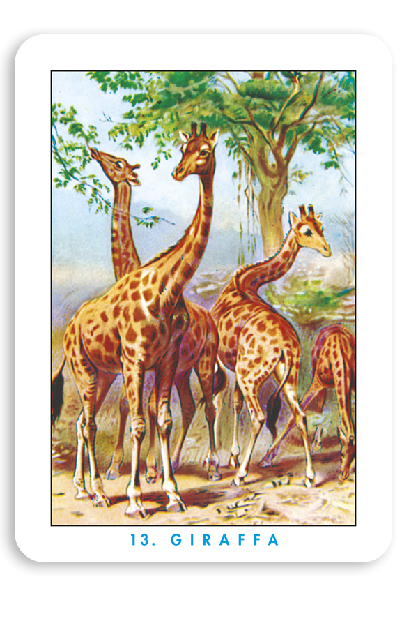 modiano modiano carte da gioco mercante in fiera - foto 5