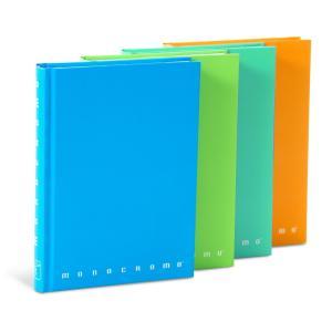 Monocromo diario 12 mesi colori fluo assortiti