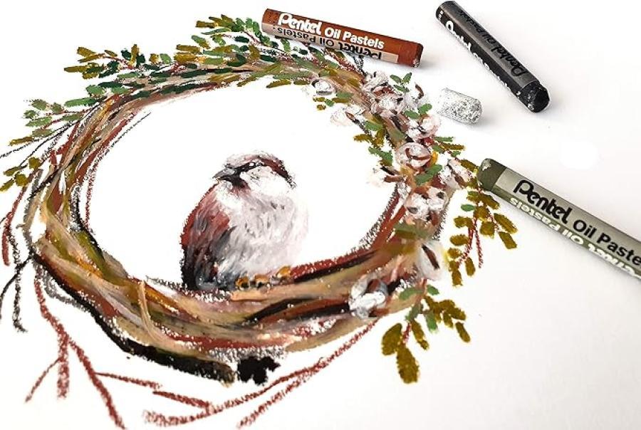 pentel pentel set da 50 pastelli a olio 38 colorati 6 metal 6 fluo pentel arts - foto 4