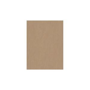 Ecocolor carta da regalo kraft conf. da 10 fogli 70x100 cm colore grezzo
