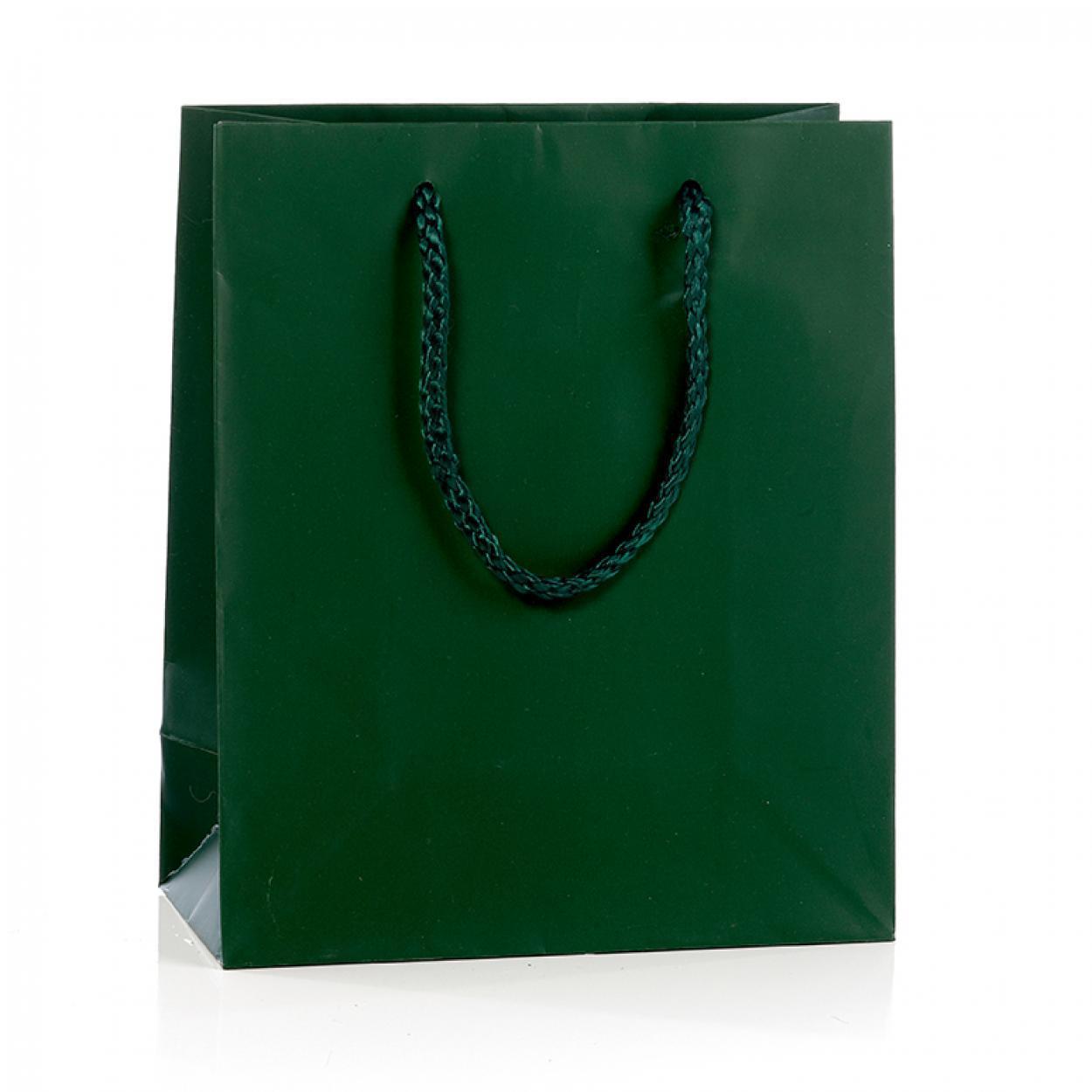 p.n.p. plast pnp buste regalo conf. da 12 pz con manico in cordino 19x16x8 cm verde bosco - foto 1