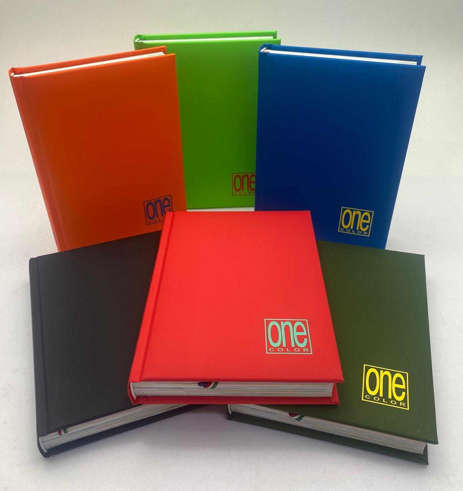 blasetti blasetti diario ragazzo agenda one color 12 mesi non datato 13x18cm colori assortiti - foto 1