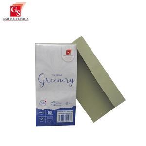 50pz buste da lettera greenery verde salvia 11x22cm 120gr/mq