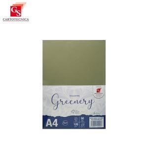 50 fogli greenery verde salvia a4 (21x29,7cm) 120gr/mq