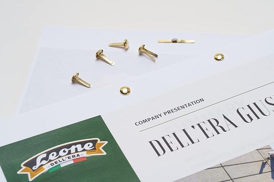 leone dell'era leone dell'era fermacampioni n. 4 ottonati - 10 conf. da 100 pz. - foto 4